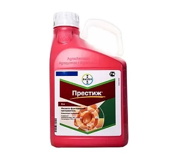 Престиж