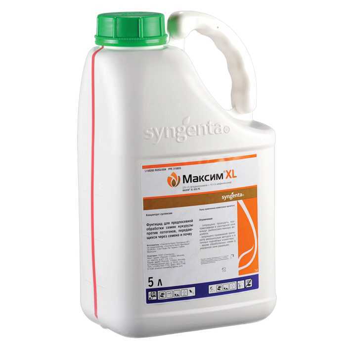 МАКСИМ XL, КС