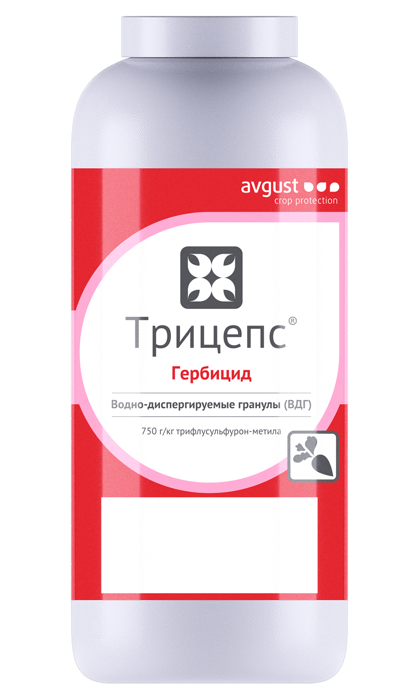 Трицепс