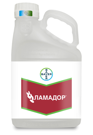 Ламадор