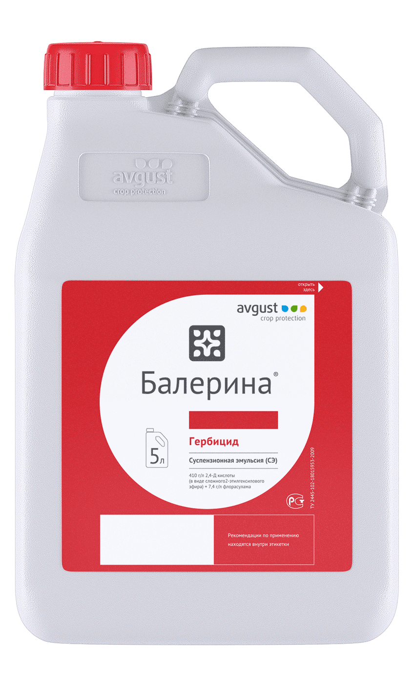 Балерина