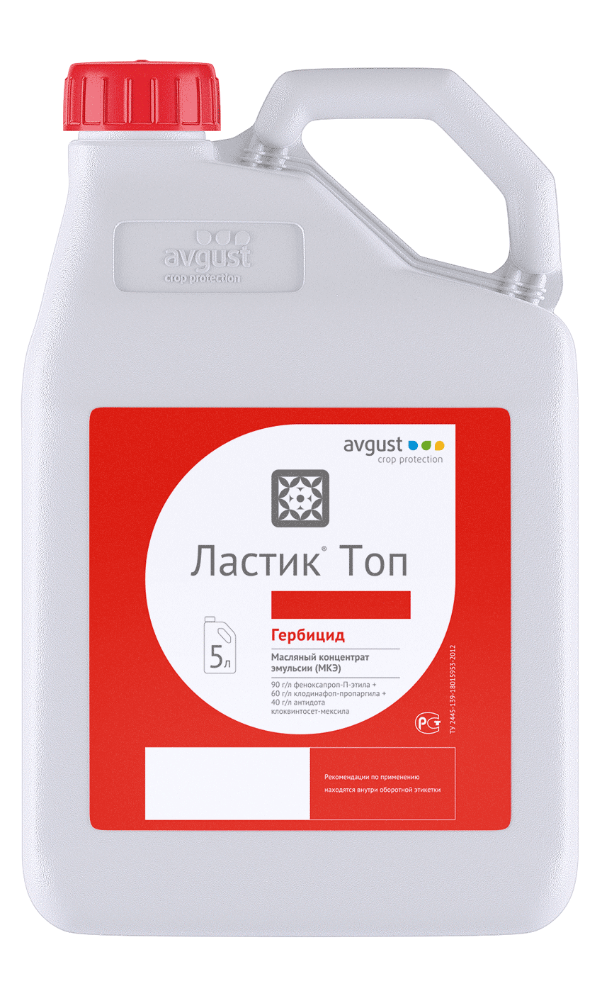 Ластик Топ