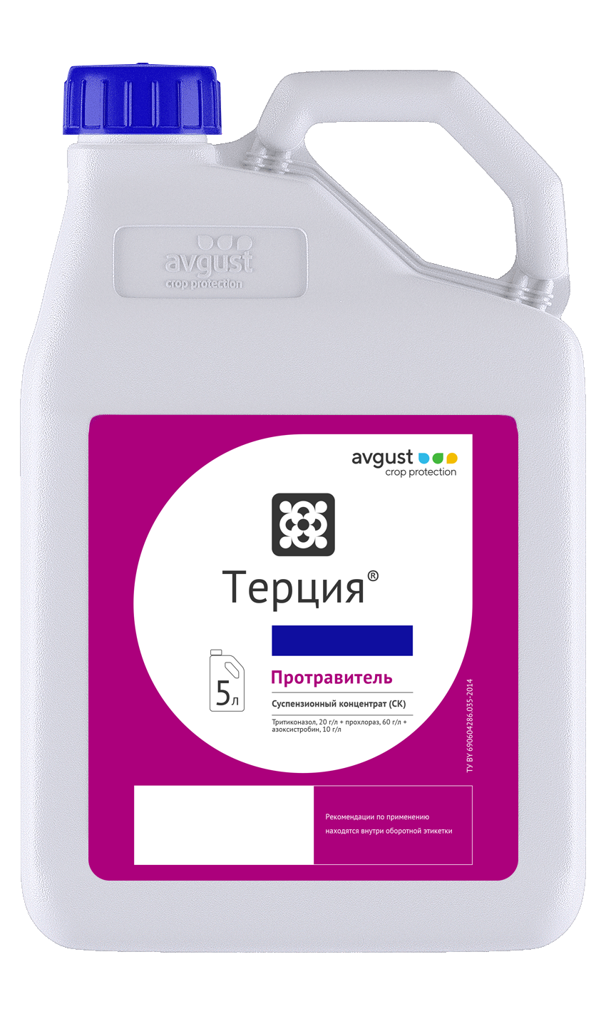 Терция