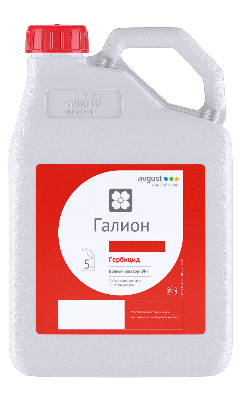 Галион