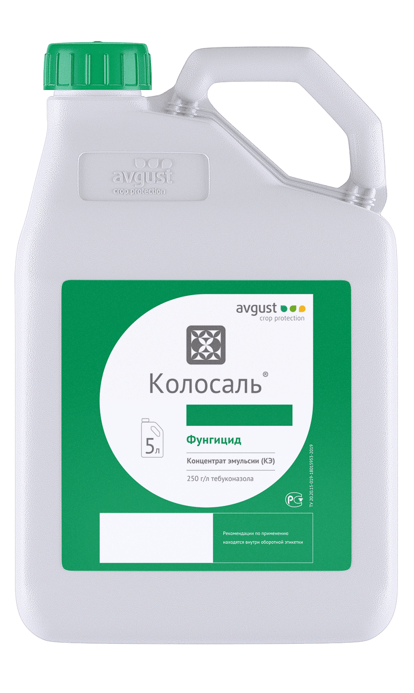 Колосаль