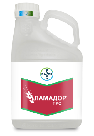 Ламадор Про
