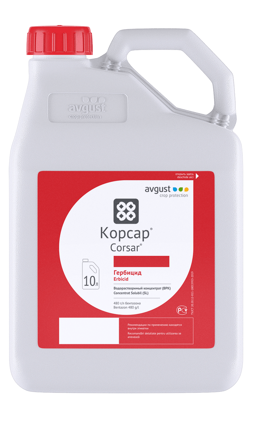 Корсар
